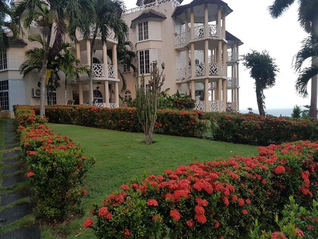 Chill On The Hill Lejlighed Ocho Rios Eksteriør billede
